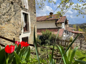 Orbregno Country Houses with Personal Wine Cellar